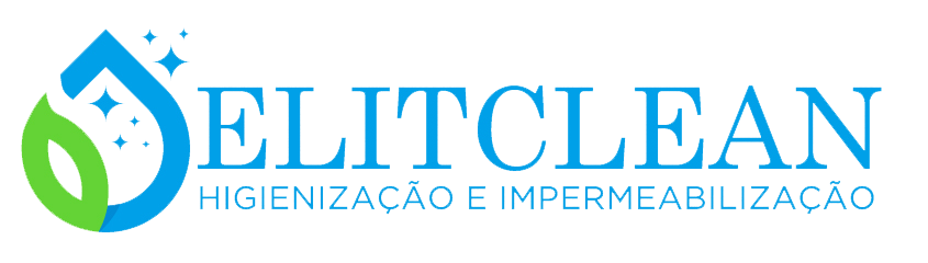 ElitClean Logo